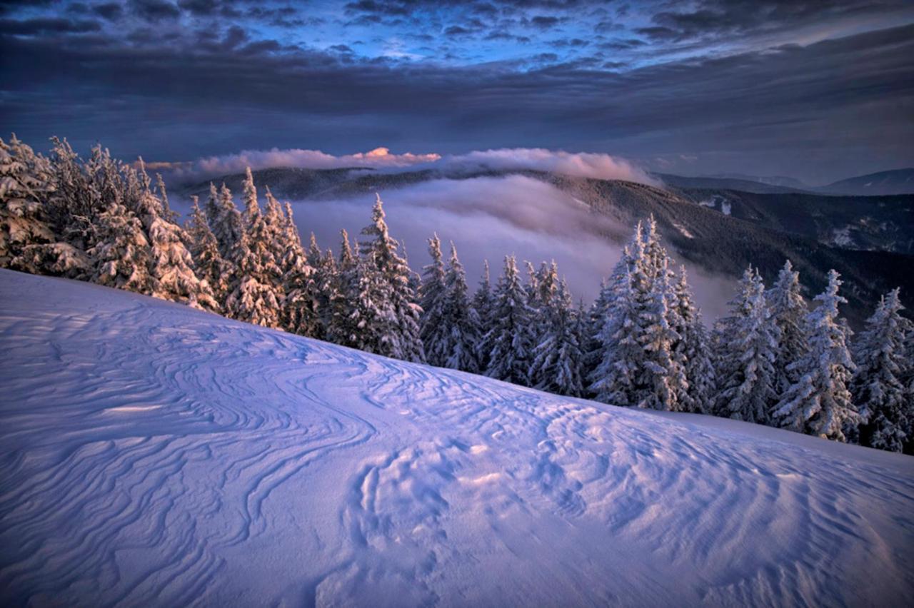 Pohorje Village Wellbeing Resort - Forest Apartments Videc Hočko Pohorje Exteriör bild
