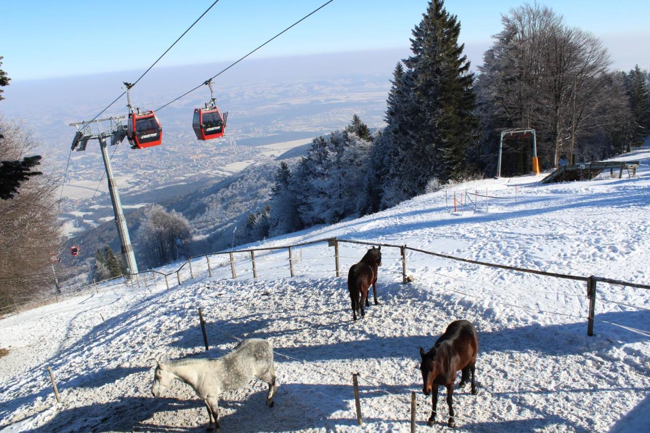 Pohorje Village Wellbeing Resort - Forest Apartments Videc Hočko Pohorje Exteriör bild