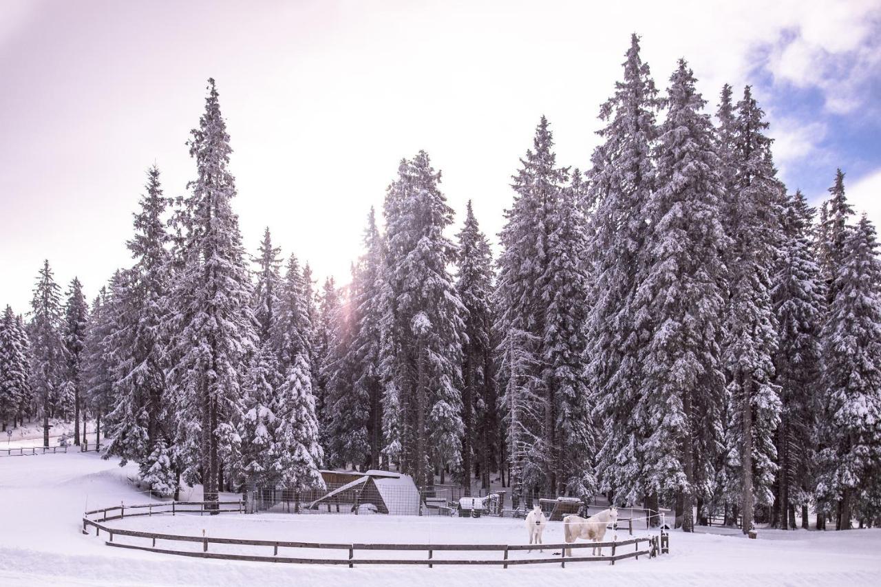 Pohorje Village Wellbeing Resort - Forest Apartments Videc Hočko Pohorje Exteriör bild