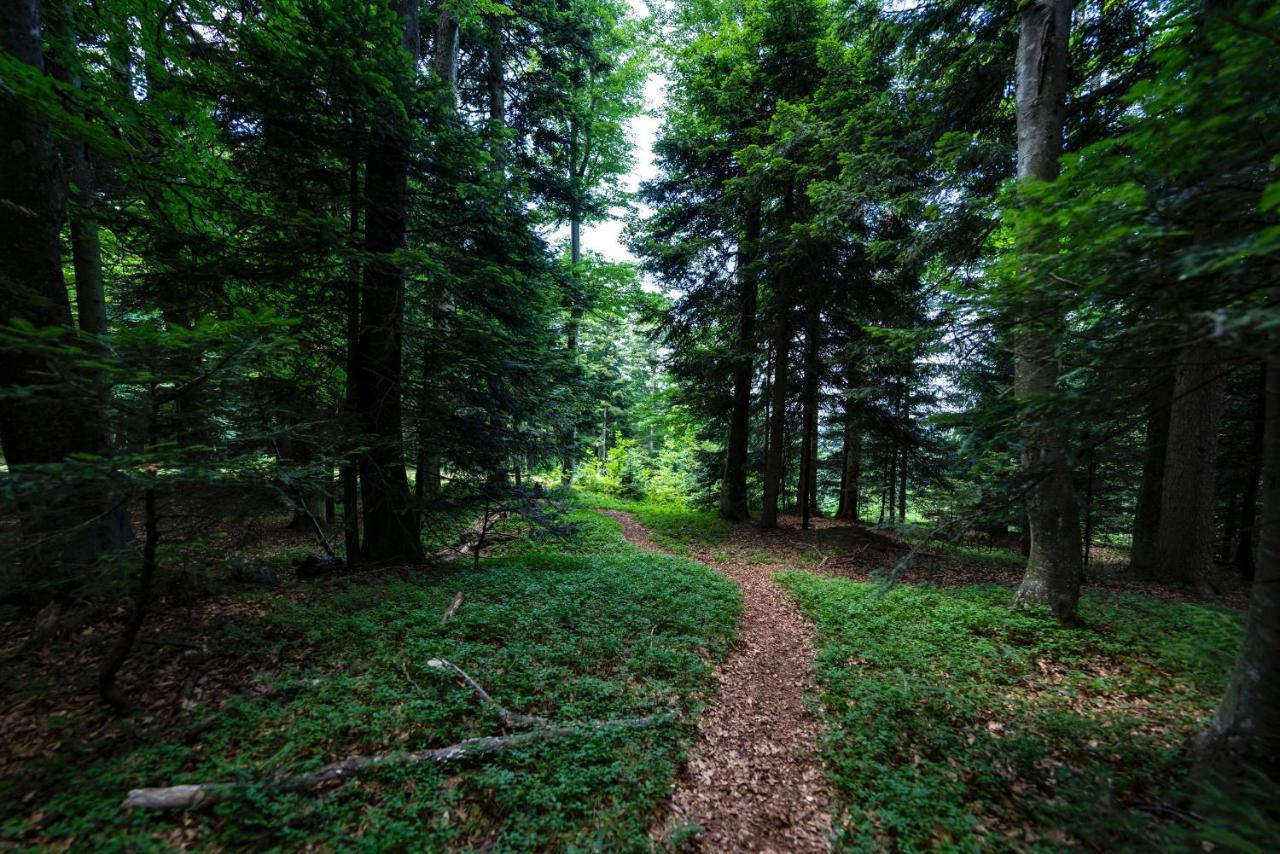 Pohorje Village Wellbeing Resort - Forest Apartments Videc Hočko Pohorje Exteriör bild